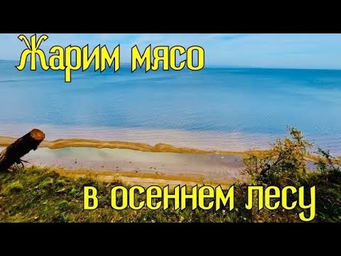 Видео: Жарим мясо в осеннем лесу