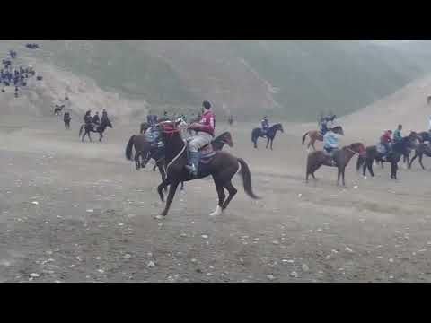 Видео: БЗИ Д. САРЧАШМА