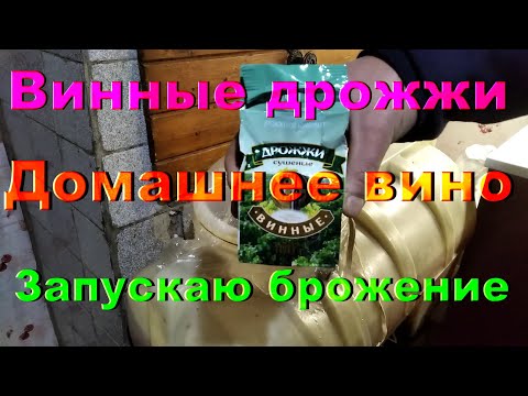 Видео: Винные дрожжи / Запускаю брожение домашнего вина