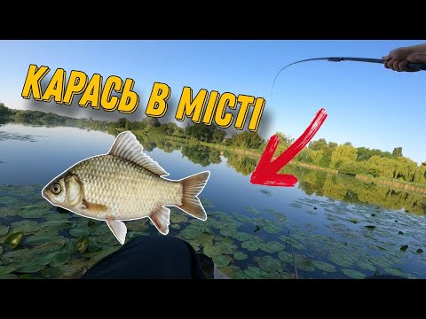 Видео: РИБАЛКА В ЦЕНТРІ ВІННИЦІ! Зловив КАРАСЯ та приємний БОНУС🐟🐢