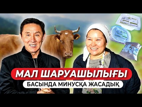 Видео: Мал шаруашылығының пайдасы! | Қалай дұрыс айналысу керек?