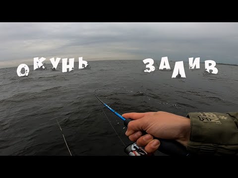 Видео: Финский Залив / Ловля окуня на джиг / осень 2020