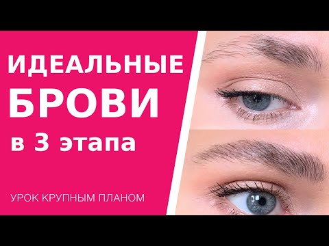 Видео: Как сделать идеальные модные брови всего  в 3 этапа. Урок макияжа для новичков крупным планом.