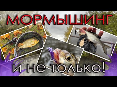 Видео: Мормышинг и не только. Лещ, Карась и Жерех на спиннинг. TeleTen 2.0 125 и Nano Zero Air.