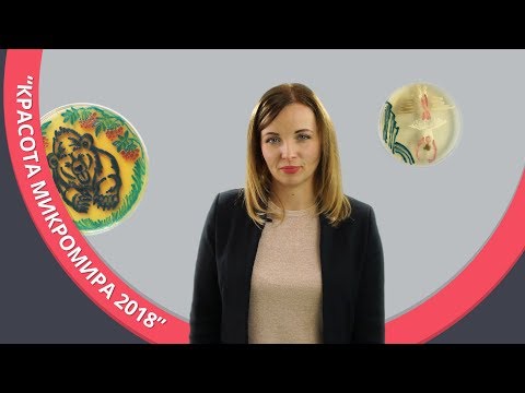 Видео: Конкурс: "Красота микромира-2018"!