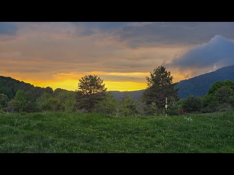 Видео: Кладница - Чуйпетлово и още нещо / 27.05.2025 г.