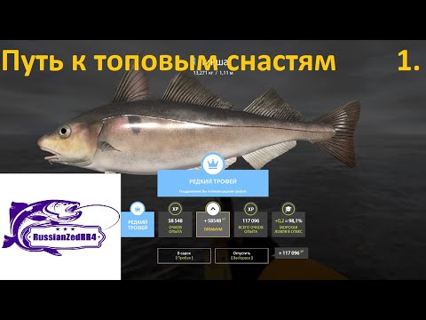 Видео: РР4 Норвежское море   Путь к топовым Сборкам  Серия 1
