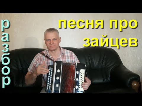 Видео: Песня про зайцев. А нам всё равно. Разбор на гармони Цифры.