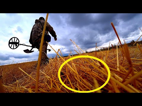 Видео: ШЁЛ ПО ПОЛЮ-УВИДЕЛ КУЧУ СОЛОМЫ-РЕШИЛ ПРОВЕРИТЬ И...Коп с мд Gold Hunter Frogman B75