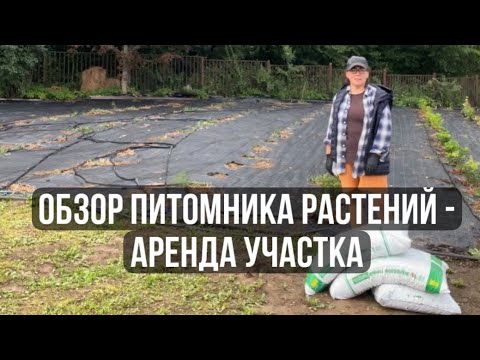 Видео: 2. Обзор питомника растений // Аренда