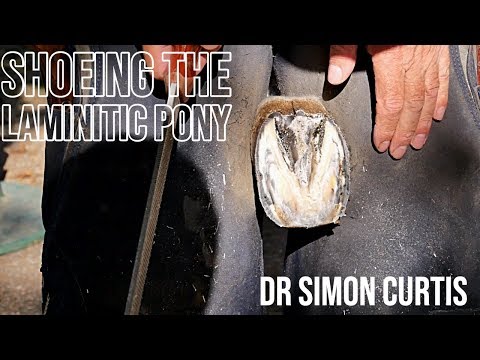 Видео: Ковка пони с ламинитом — руководство по кузнечному делу по лечению ламинита у пони