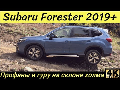 Видео: Бездорожье на новом Subaru Forester - уже не может!?