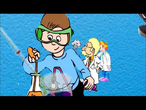 Видео: 57-сабак