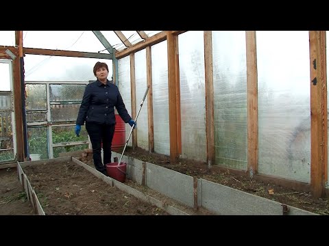 Видео: "Удачная среда" - обработка почвы в теплицах (Бийское телевидение)