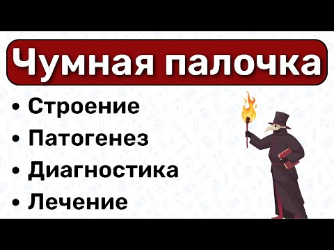 Видео: Чумная палочка: микробиология чумы, патогенез чумы, симптомы, диагностика, лечение