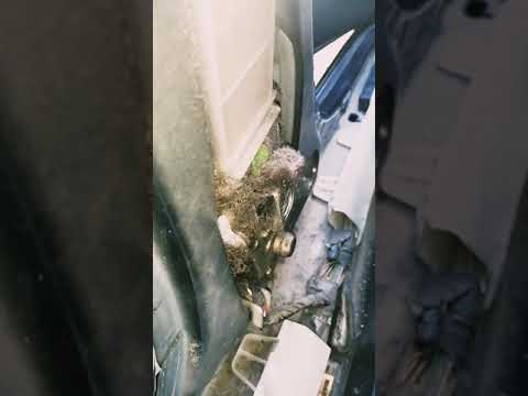 Видео: #Opel Vectra C. Ремонт проводки. Разработка двери. Не работает стеклоподъемник. Центральный замок.