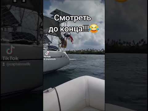 Видео: Это должно было произойти когда-то...🙈 #yachtvlog #забортом #молли #мальтипу #юнга #собаканалодке