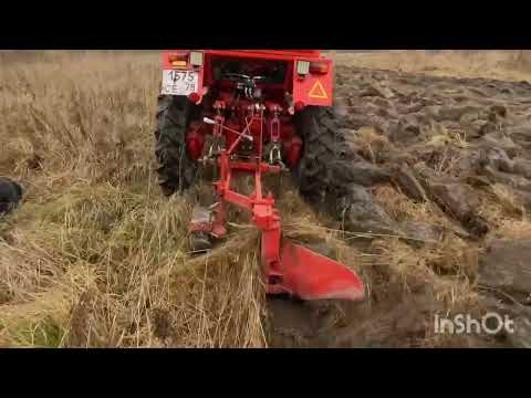 Видео: Осеняя вспашка по целине. Т-25 Плуг ПЛН1-35
