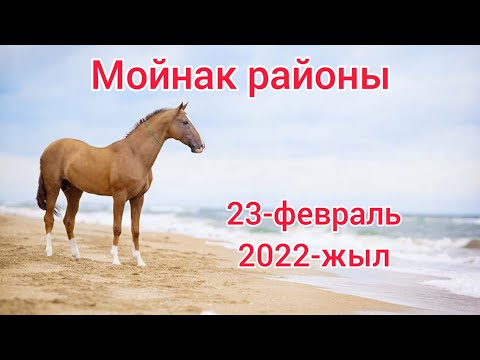 Видео: Каракалпакстан Республикасы Мойнак районы Дослык совхозы