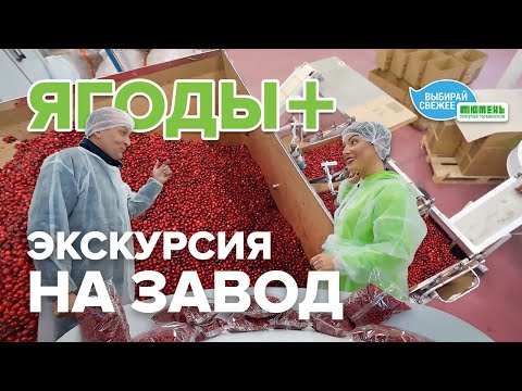 Видео: Как производят замороженные ягоды и грибы? Экскурсия на ТПК «Ягоды Плюс» с Анастасией Комраковой