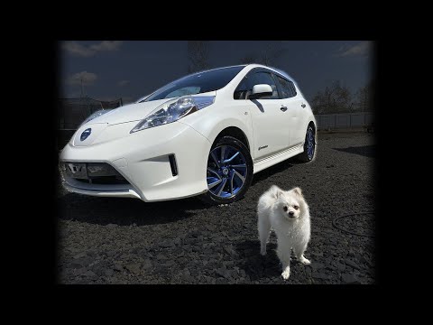 Видео: Nissan Leaf AZE0 [2014 г.в.]: Особенности эксплуатации!