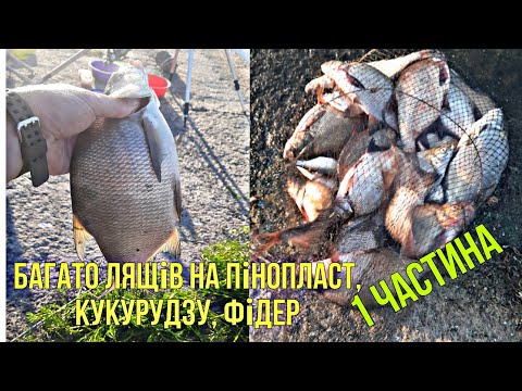 Видео: Попав на жор Ляща. Печенеги. Печенежское водохранилище.