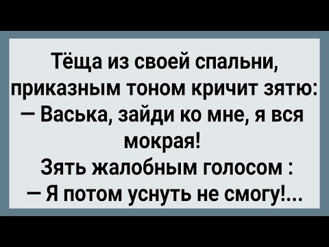 Видео: Как Теща По Ночам к Себе Зятя Звала! Сборник Свежих Анекдотов! Юмор!