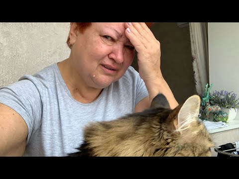 Видео: КРАВА-ПИЙЦА🗣🕸🕷🦟🦅🦂🐍