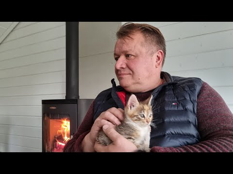 Видео: 🔥 Импортный камин - дорого? Нету печали: ЕСТЬ ЖЕ ВИЗИЕРА!