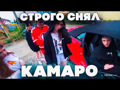 Видео: СТРОГО СНЯЛ КАМАРО?! СТРОГО ГАЕЧКА ШАДОУКЕК БАЙОВЛ ФРУКТОЗКА И ДЕСАУТ КАТАЮТСЯ НА МАШИНАХ В СОЧИ!
