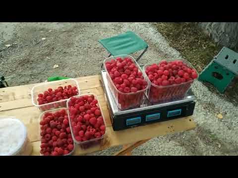 Видео: Торгівля на трасі.