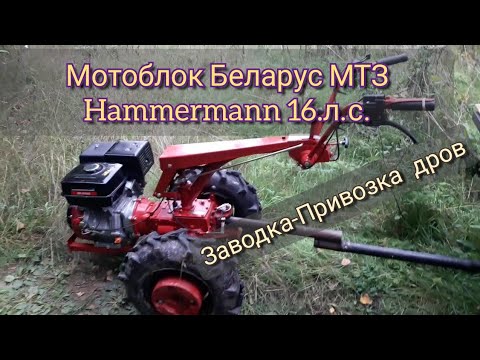 Видео: Мотоблок Беларус МТЗ Hammermann 16 л.с.: Заводка и Привозка дров