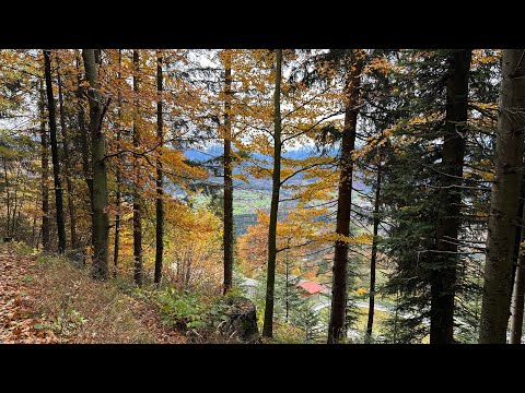 Видео: Königssee: У подножья Немецких Альп