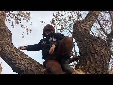 Видео: 3-я часть 