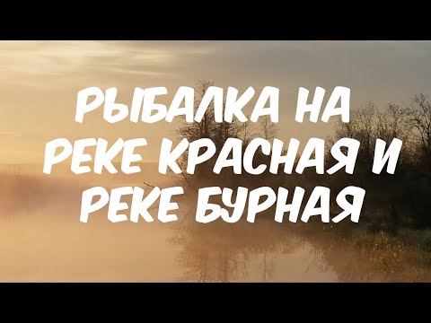 Видео: Рыбалка на реке Красная и Бурная