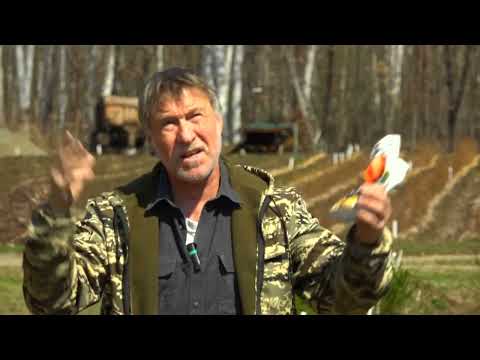 Видео: Фильм №499 -  Посадка ежевики. Голубика весной