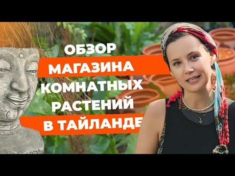 Видео: Магазин комнатных растений в Тайланде