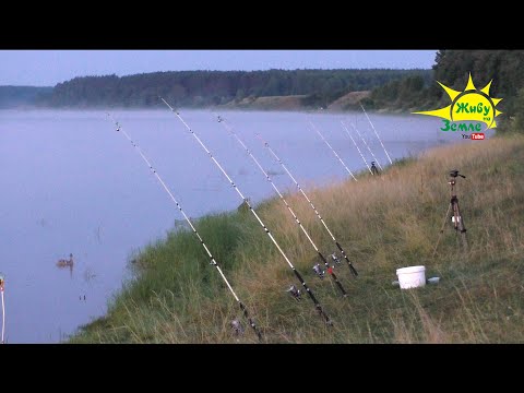 Видео: Донки Крокодил. Правильно Оснастил 👍. Рыбалка С Ночёвкой.