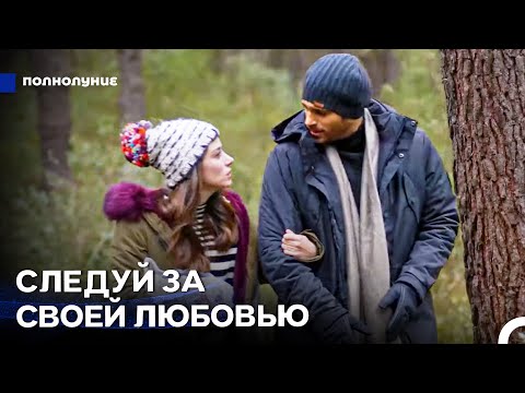 Видео: Я Все Сделаю, Чтобы Помириться - Полнолуние