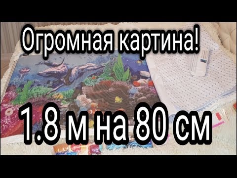 Видео: ДЕЛЬФИНЫ 1.8 м на 80 см ! Это капец! Огромные и шикарные! Весь мой восторг в этом видео!