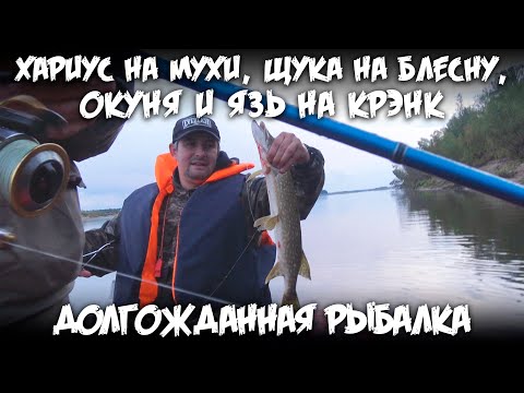 Видео: Долгожданная рыбалка / Хариус на мухи / Щука на блесну / Окуня и язь на крэнк