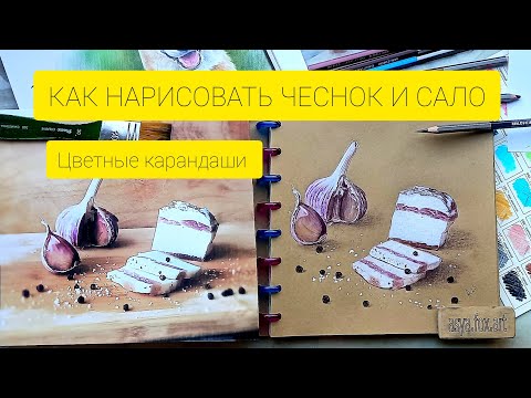 Видео: КАК НАРИСОВАТЬ ЧЕСНОК И САЛО ЦВЕТНЫМИ КАРАНДАШАМИ |ASYAFOXART 
