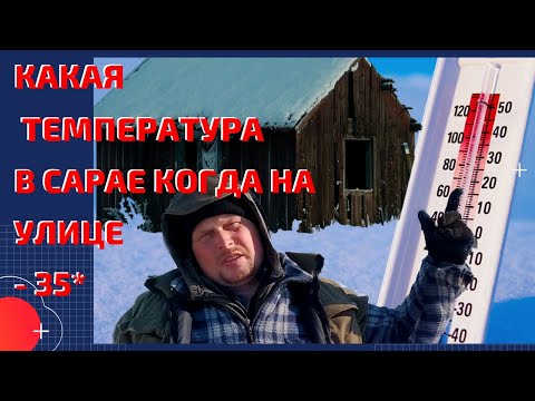Видео: Сколько в сарае градусов, когда на улице - 37. Купили проблемного телёнка.