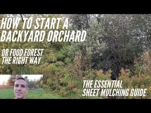 Видео: Как правильно создать сад на заднем дворе. Подробное руководство по мульчированию листами.
