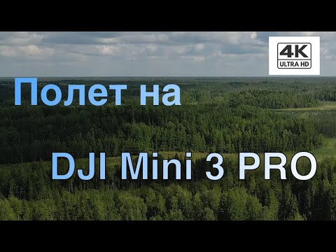 Видео: Съёмки с DJI Mini 3 pro | + Timelapse