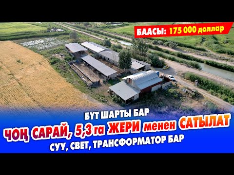 Видео: Чоң САРАЙ, 5,30 гектар айдоо ЖЕРИ менен САТЫЛАТ ~ Үй, суу, свет, трансформатор, кызыл, көк китеп бар