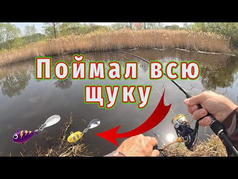 Видео: Рыбалка на спиннинг которая УДИВИЛА ВСЕХ! Тейл-спиннер ОБЫГРАЛ СИЛИКОН!