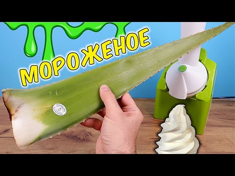 Видео: Что если сделать МОРОЖЕНОЕ из огромного листа Алоэ? Самое мерзкое в мире мороженое!