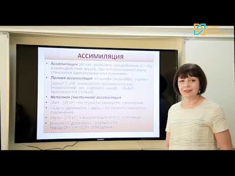 Видео: Сидоркова Л Исторические и фунционалыные изменения звуков