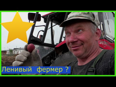 Видео: Ленивая посадка картофеля под плуг трактора  2 дела за 1 раз